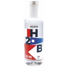 Gin H2B 40° 70CL
