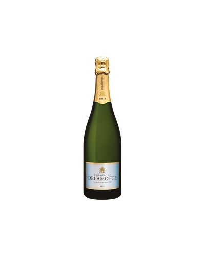 CHAMPAGNE DELAMOTTE BRUT 75CL X01