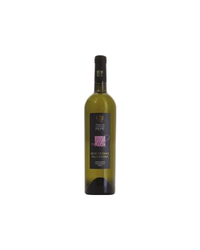 LILA BENE FALANGHINA TENUTA 75X06