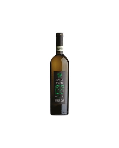 NESTOR GRECO DI TUFO TENUTA 75X06