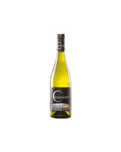 RUEDA QUINTALUNA BLANC VP75CL X12
