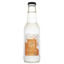 HYSOPE GINGER BEER BIO VP 20CL X 24