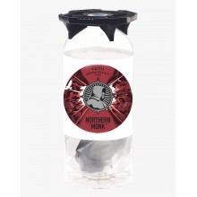 NORTHERN MONK FAITH 5.4degre - KEYKEG FUT 30L