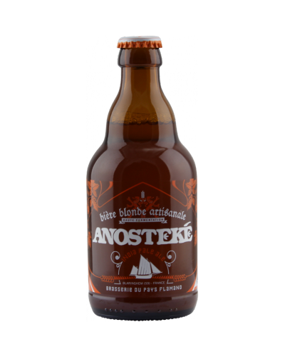 ANOSTEKE IPA 6degre VP 33CL X20