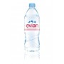 EVIAN PET 1L X12