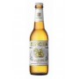 SINGHA 5degre VP 33CL X24